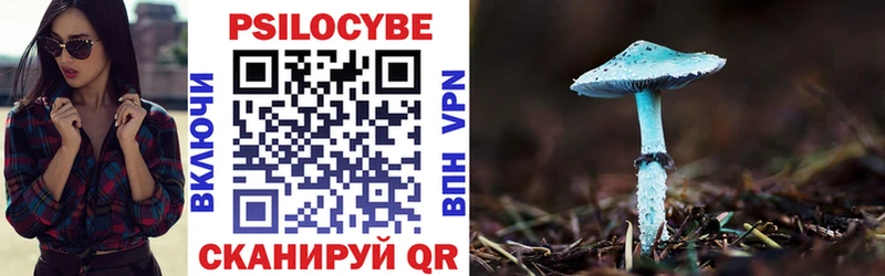 купить наркоту Ак-Довурак Псилоцибиновые грибы мухоморы